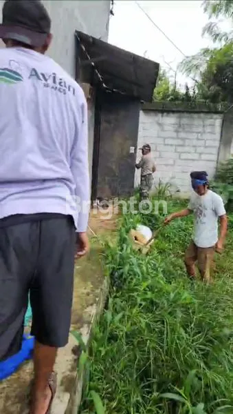 image TANAH PARUNG KUDA SUKABUMI GRATIS RUMAH WALET (5)