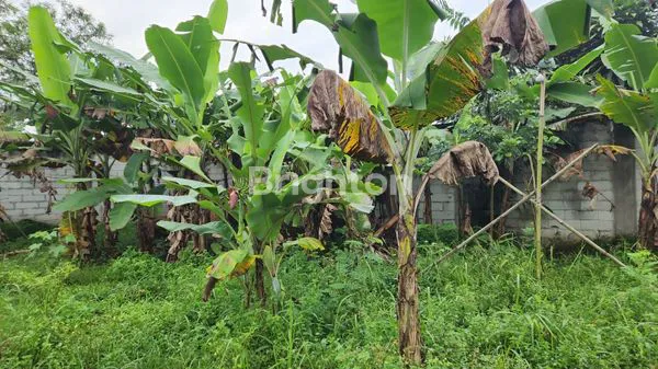 image TANAH PARUNG KUDA SUKABUMI GRATIS RUMAH WALET (6)