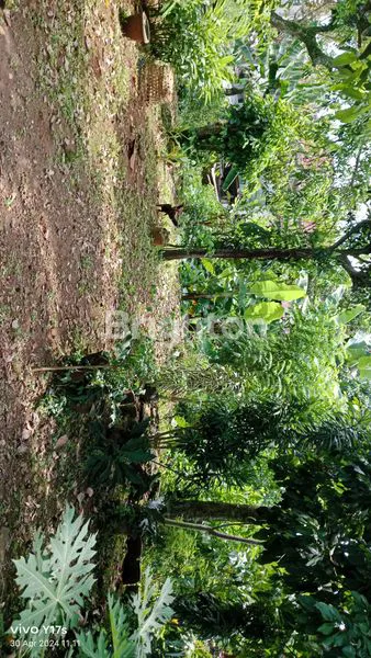 image TANAH DEKAT PASAR GUNUNG PATI SEMARANG (4)