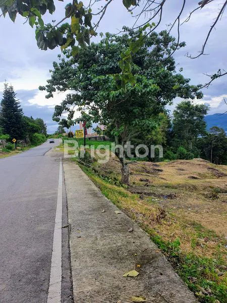 image TANAH DI TEPI DANAU TOBA (2)