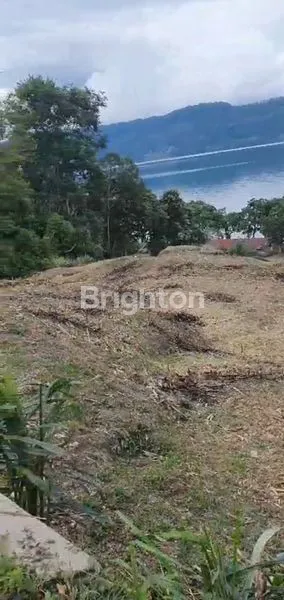 image TANAH DI TEPI DANAU TOBA (6)