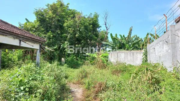 image TANAH STRATEGIS DI RAYA JIWAN (2)