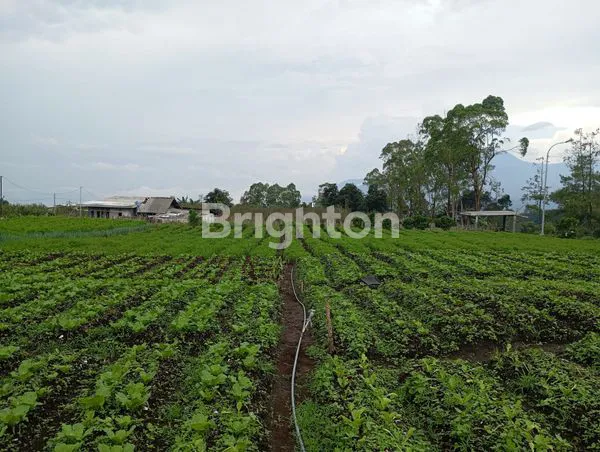 image TANAH SELECTA KOTA BATU (1)