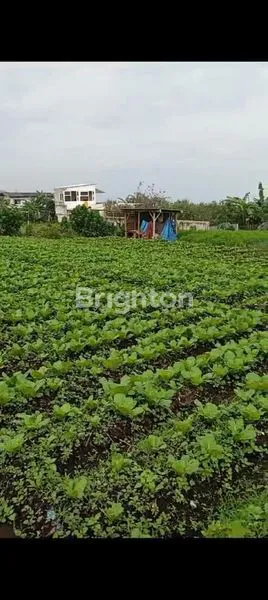 image TANAH SELECTA KOTA BATU (3)