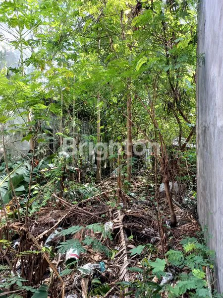 image GUDANG DAN TANAH STRATEGIS AREA KOTA MADIUN (3)