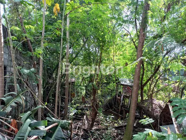 image GUDANG DAN TANAH STRATEGIS AREA KOTA MADIUN (5)