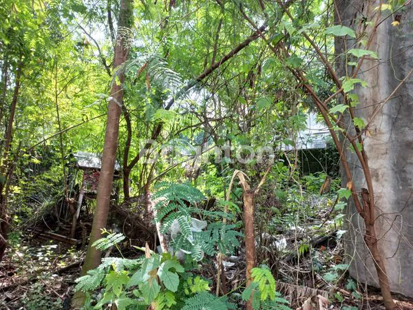 image GUDANG DAN TANAH STRATEGIS AREA KOTA MADIUN (4)