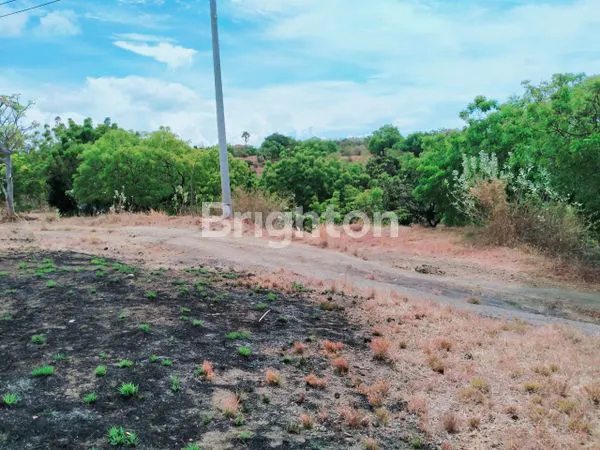 INVESTASI MURAH TANAH 50 ARE SHM KUBUTAMBAHAN