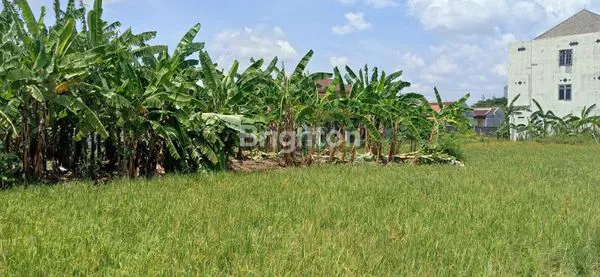 image TANAH DI TENGAH KOTA SUKOHARJO MUURAAAAAHHH......!!! (3)