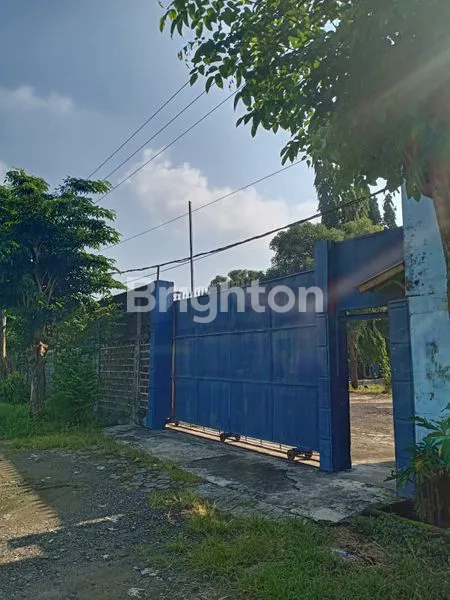 image GUDANG DAN PABRIK BUTUH CEPAT LAKU BENJENG, GRESIK (1)