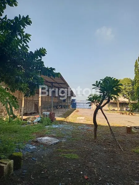 image GUDANG DAN PABRIK BUTUH CEPAT LAKU BENJENG, GRESIK (5)