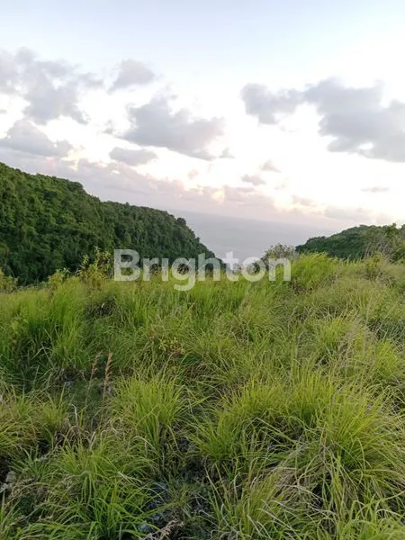 image TANAH PERBUKITAN TEPI TEBING NUSA PENIDA (1)