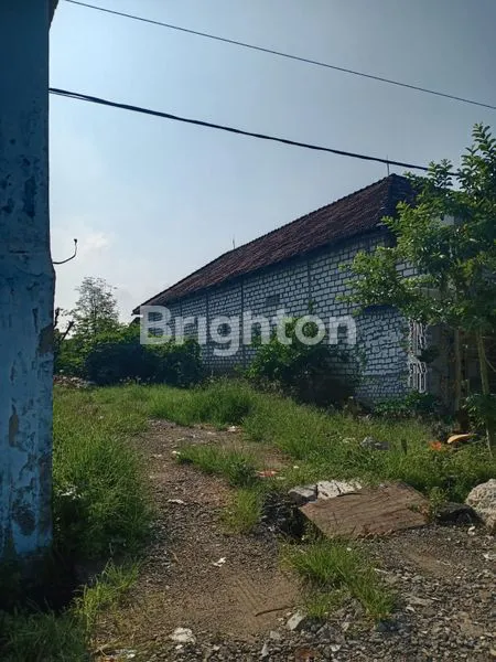 image DIJUAL TANAH DUDUK SAMPEYAN, BENJENG -GRESIK (1)