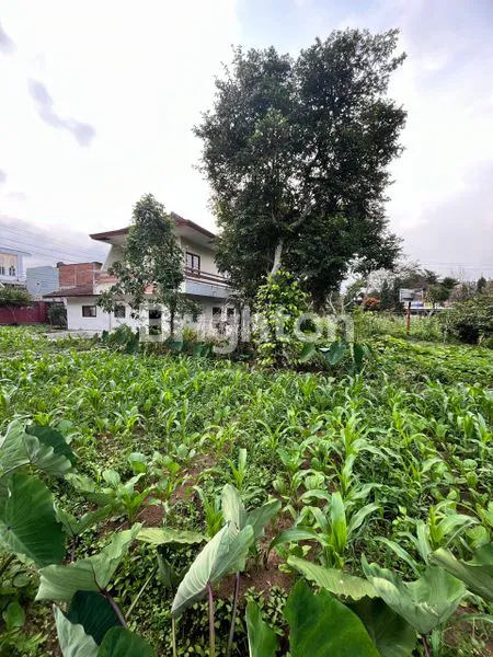 image TANAH BONUS VILLA NOL JALAN PROVINSI KOTA BATU (4)