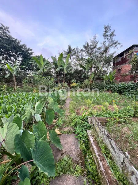 image TANAH BONUS VILLA NOL JALAN PROVINSI KOTA BATU (7)