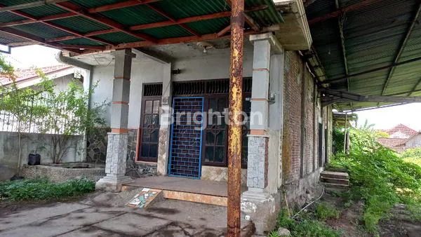 image RUMAH DAN TANAH LUAS COCOK UNTUK USAHA (4)