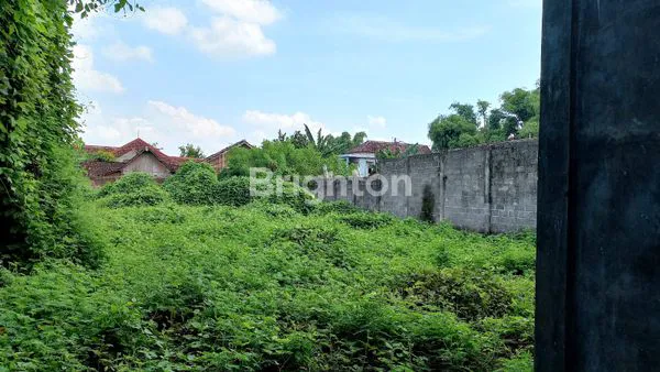 image RUMAH DAN TANAH LUAS COCOK UNTUK USAHA (5)