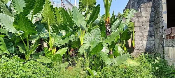 TANAH KAVLING STRATEGIS BOJONG GEDE