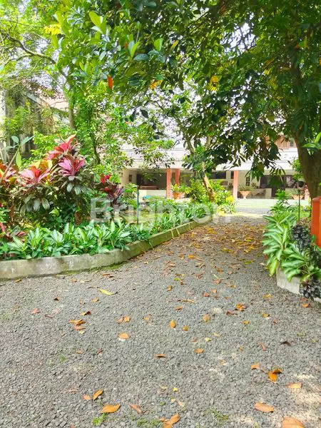 image BELI RUMAH BONUS TANAH YANG LUAS  (8)