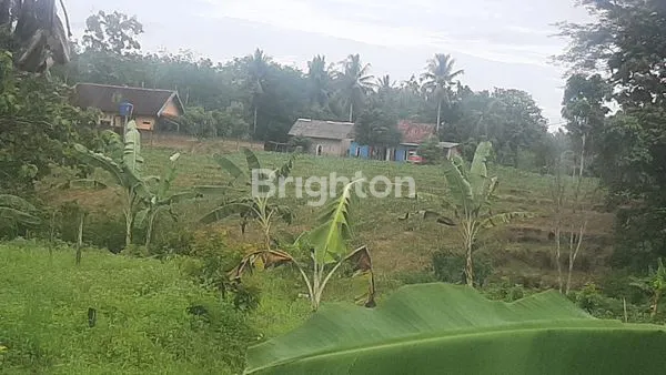 LAHAN 20RB M² BONUS RUMAH SIAP HUNI