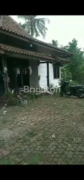 image RUMAH MURAH HALAMAN LUAS BONUS 3 BUAH KIOS DI PERUMAHAN CISEENG (1)