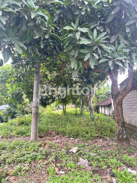 image TANAH PEKARANGAN KABUPATEN KEDIRI (4)
