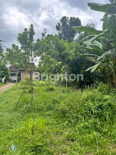 image TANAH PEKARANGAN KABUPATEN KEDIRI (6)
