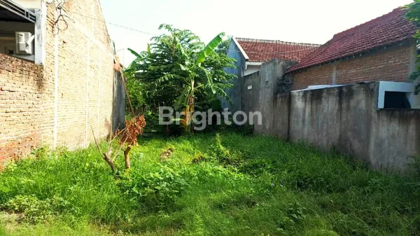 image DIJUAL CEPAT TANAH MURAH (1)