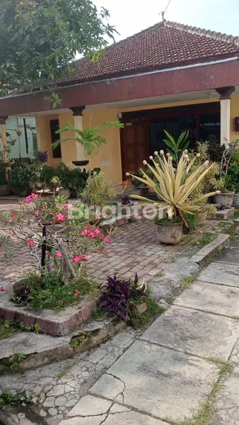 image RUMAH MURAH BANGET DI NAYU !! SUASANA TENANG DI PUSAT KERAMAIAN. (2)