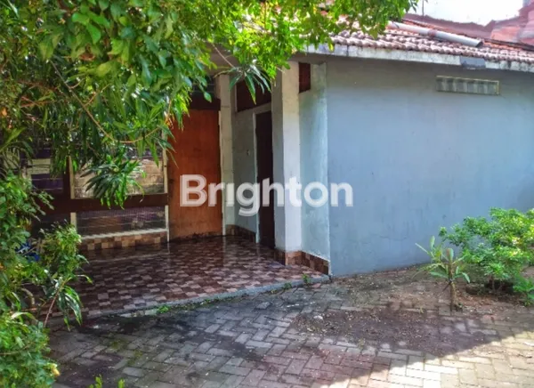 image PUSAT KOTA HANYA 30M DARI JL ARGOPURO!! JL. PATUA (COCOK BUAT USAHA/KOMERSIL) (3)