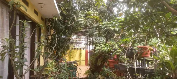 image ARALIA HARAPAN INDAH (4)