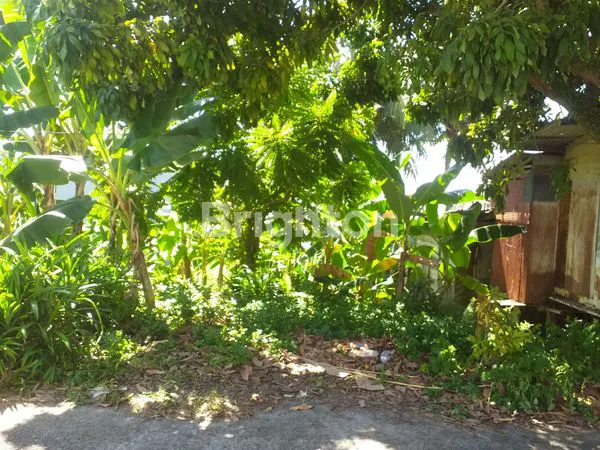 TANAH DIJUAL, PUPUK BALIKPAPAN