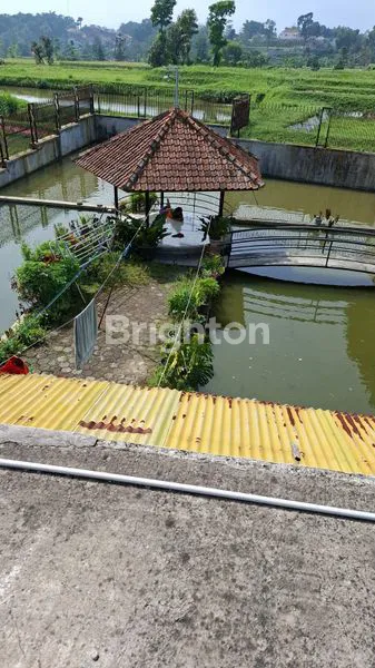 image RUMAH BANDUNG JL. PACET RAYA CIPARAY BANDUNG (4)