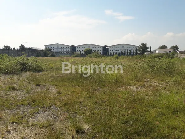 image JUAL TANAH KOMERSIAL 0 JALAN RAYA GRESIK LAMONGAN STRATEGIS SUDAH URUK DI REJOSARI, DEKET, LAMONGAN. (8)