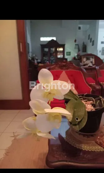 image RUMAH TINGKAT DI ARAYA (4)