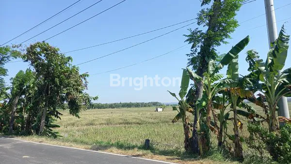 DIJUAL TANAH UNTUK INDUSTRI