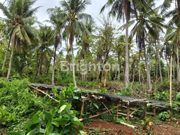 image TANAH DEKAT BANDARA DEWANDARU KARIMUNJAWA JEPARA (2)