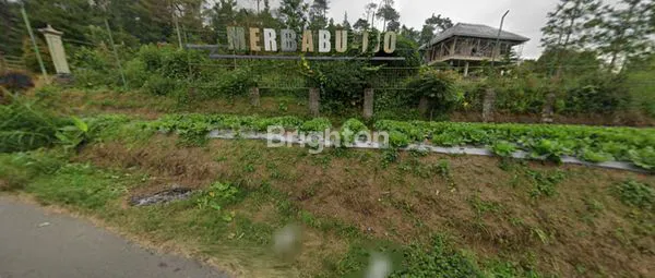 image LOKASI TANAH BAGUS NIH BUAT WISATA CAMPING DI GETASAN KOPENG DIBAWAH KAKI GUNUNG MERBABU (1)