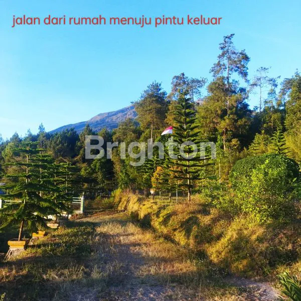 image LOKASI TANAH BAGUS NIH BUAT WISATA CAMPING DI GETASAN KOPENG DIBAWAH KAKI GUNUNG MERBABU (3)