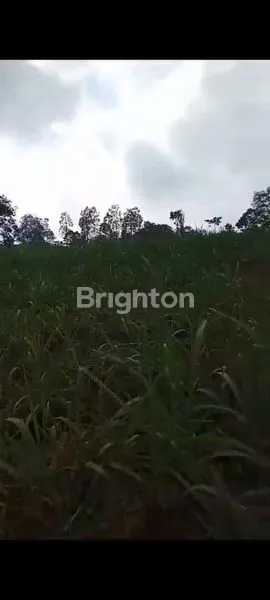 image TANAH LUAS ±76.000 M² BONUS ± 300M,AREA JABUNG. COCOK UNTUK INVESTASI, UNTUK PERUMNAS,  UNTUK WISATA, UNTUK KULINER ( CAFE ) ATAUPUN UNTUK DITANAMI TEBU. (5)