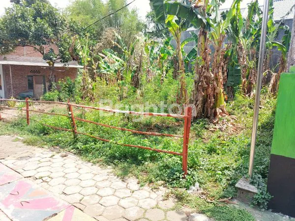 image DIJUAL TANAH (MANISREJO) (1)
