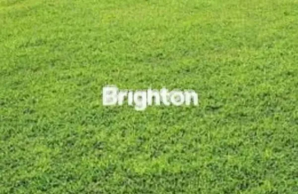 DIJUAL TANAH RAYA SUGIO - BATURONO LAMONGAN