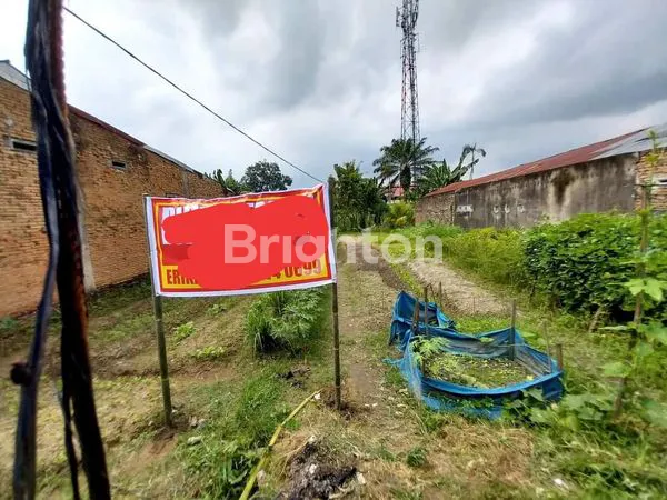 image TANAH SULTAN SERDANG PASAR 7 BUNTU BEDIMBAR KUALANAMO TANJUNG MORAWA SUMATERA UTARA (2)