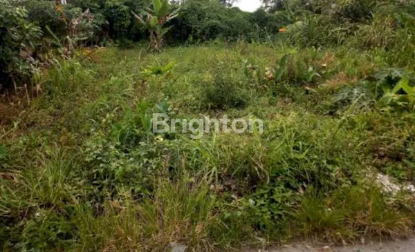 TANAH MAYJEND SUNGKONO