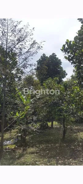 image VILA DAN TANAH KEBUN, HANYA HITUNG TANAH SAJA DI PAMOYANAN BOGOR (5)