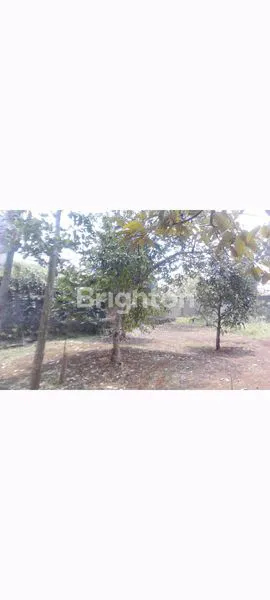 image VILA DAN TANAH KEBUN, HANYA HITUNG TANAH SAJA DI PAMOYANAN BOGOR (6)