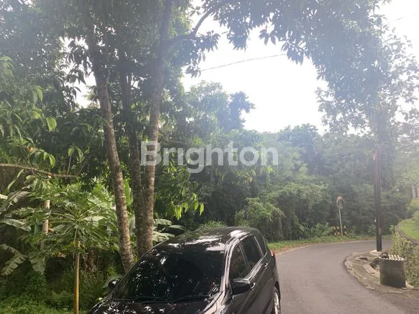 4 ARE SANGAT MURAH TANAH DEKAT ALAS KEDATON TABANAN