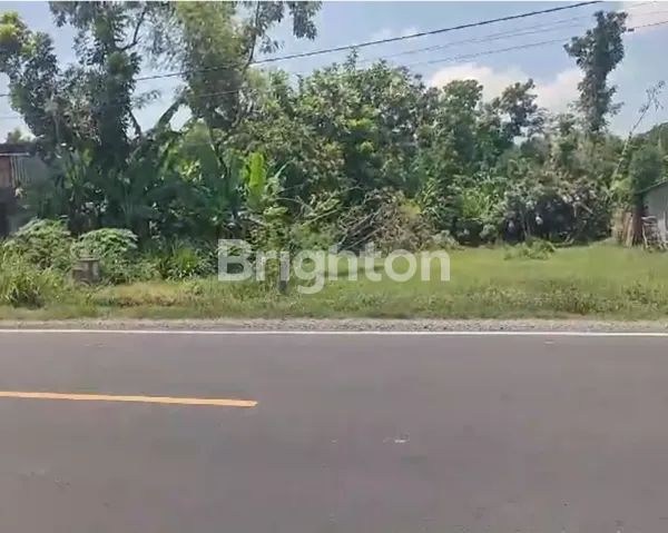 image TANAH 14 X 32 PAPAR KEDIRI NOL PRIVINSI  (1)