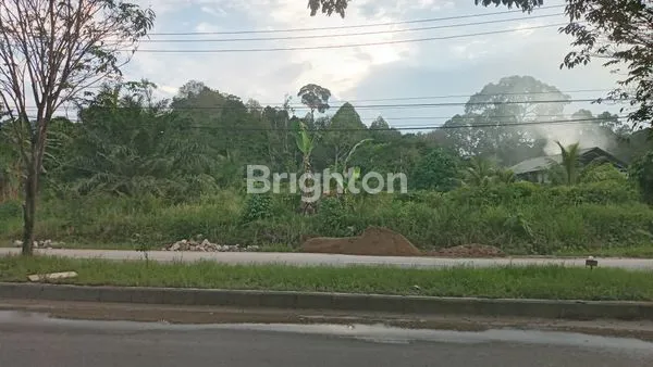 Gambar Property TANAH DI TEPI JALAN JALUR DUA