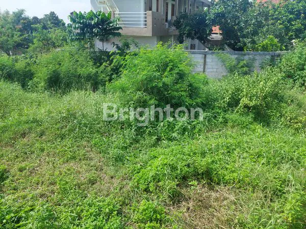 image SEBIDANG TANAH TANAH DI DESA PLINTAHAN  LOKASI JALAN SECOND ROAD,COCOK UNTUK TEMPAT TINGGAL ATAUPUN KOST KOSTAN (4)